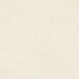  Rasch Trend 974201