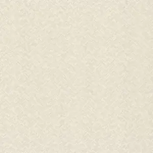 Обои Rasch Trend 975307 - фото 1