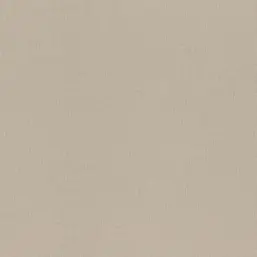  Rasch Trend 975550
