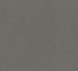 ���� Rasch Unitex 990416