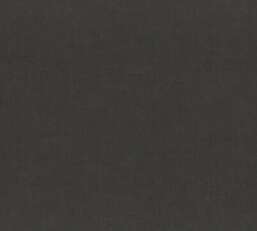 ���� Rasch Unitex 990423