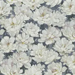  Rasch Varvara 920130