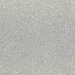  Rasch Varvara 920444