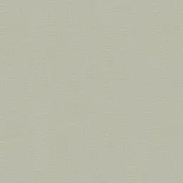  Rasch Varvara 920659
