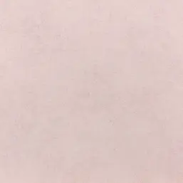  Rasch Vincenza 467161