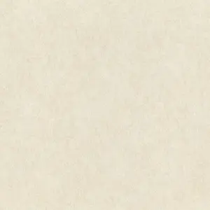 Обои Rasch Wall Textures XL III 957334 - фото 1