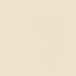 Обои Rasch Wall Textures XL III 960778