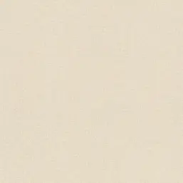  Rasch Wall Textures XL III 961911