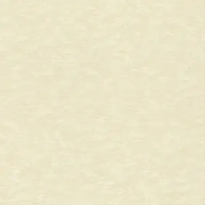 Обои Rasch Wall Textures XL III 964813 - фото 1