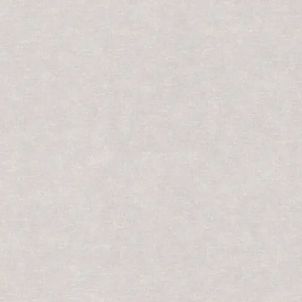  Rasch Wall Textures XL III 965032-1 -  1