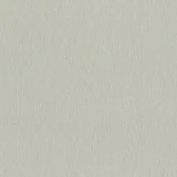  Rasch Wall Textures XL III 979336
