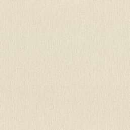  Rasch Wall Textures XL III 979374