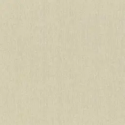  Rasch Wall Textures XL IV  943122