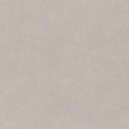  Rasch Wall Textures XL IV  943368