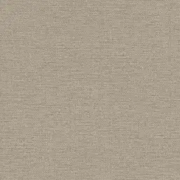  Rasch Wall Textures XL IV  970647
