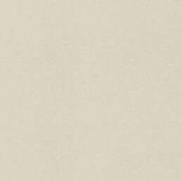 ���� Rasch Wall Textures XL IV  971347