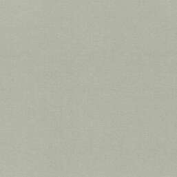 ���� Rasch Wall Textures XL IV  971422