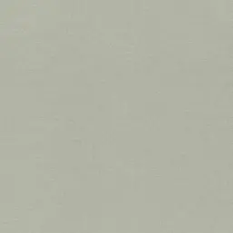  Rasch Wall Textures XL IV  971422