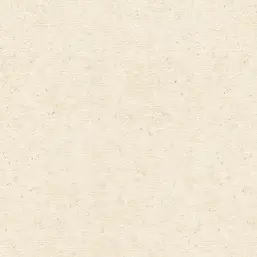  Rasch Wall Textures XL IV  974218