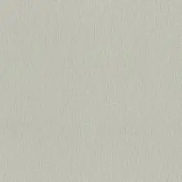 Rasch Wall Textures XL IV  979336