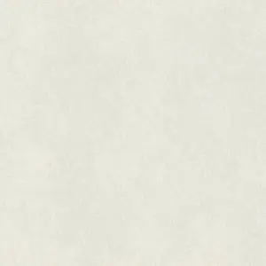  Rasch Wall Textures XL vol.2 957303 -  1