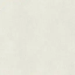  Rasch Wall Textures XL vol.2 957303