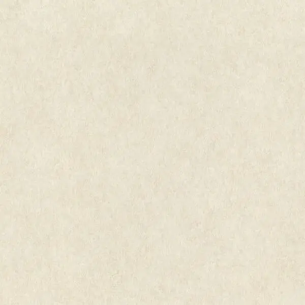  Rasch Wall Textures XL vol.2 957334 -  1