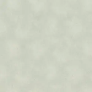  Rasch Wall Textures XL vol.2 957358 -  1