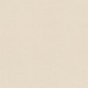 Обои Rasch Wall Textures XL vol.2 961911 - фото 1