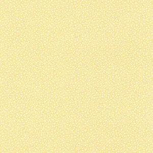  Rasch-Textil Petite Fleur 4 289151 -  1