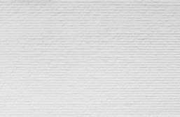  Renaissance Fresco  Art Graphics ag0147