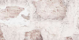  Renaissance Fresco  Art Graphics ag0297