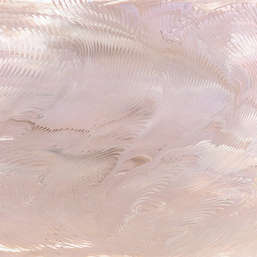  Renaissance Fresco  Fluid Art FL019col1