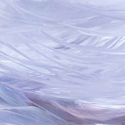  Renaissance Fresco  Fluid Art FL020col1
