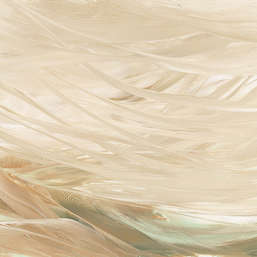  Renaissance Fresco  Fluid Art FL020col2