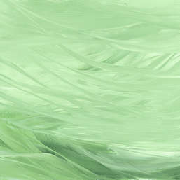  Renaissance Fresco  Fluid Art FL020col3