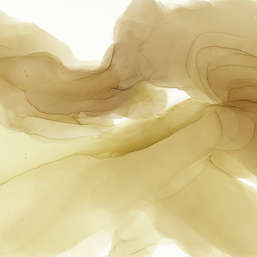  Renaissance Fresco  Fluid Art FL025col3