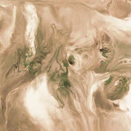  Renaissance Fresco  Fluid Art FL031col2