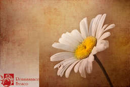  Renaissance Fresco   274-A