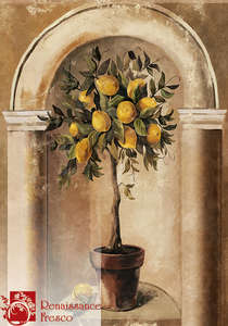  Renaissance Fresco   6112-A