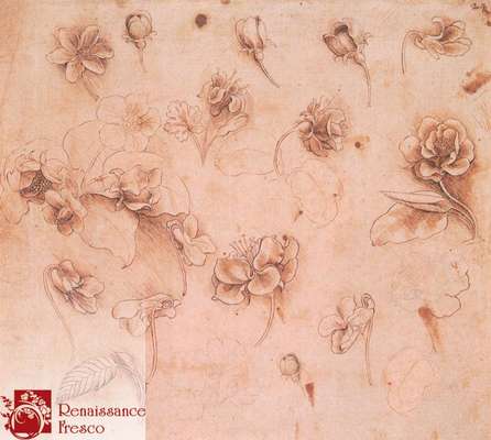 Фреска Renaissance Fresco  Орнамент 10024-A