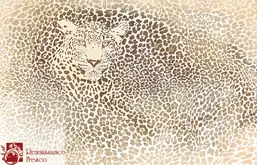  Renaissance Fresco   sw0036-A