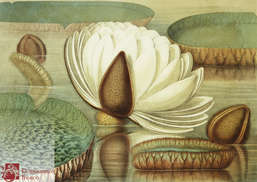  Renaissance Fresco   9063-A