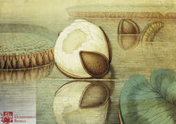  Renaissance Fresco   9064-A