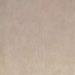  Roberto Borzagi Queen I 90101-2