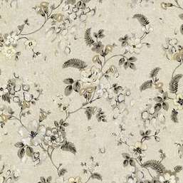  Roberto Cavalli Roberto Cavalli 6 17015