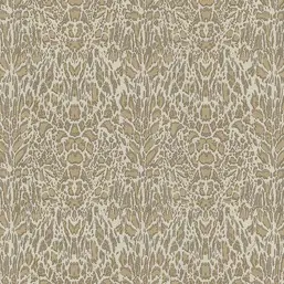  Roberto Cavalli Roberto Cavalli 7 18053