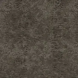  Roberto Cavalli Roberto Cavalli 7 18082