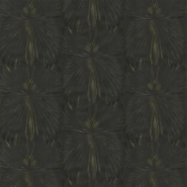  Roberto Cavalli Roberto Cavalli 8 RC19006 -  1