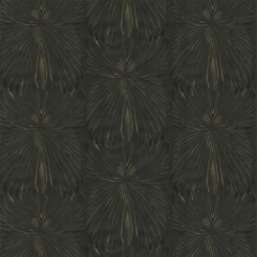  Roberto Cavalli Roberto Cavalli 8 RC19006